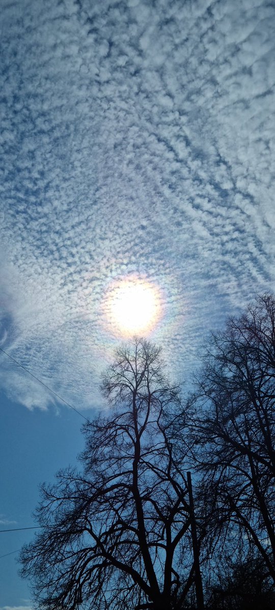 3DDaniel tweet media