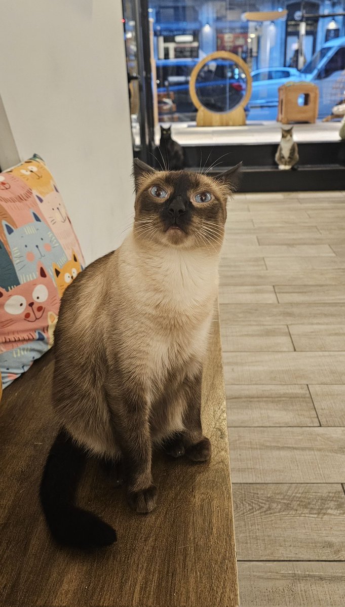 Pablo🦁 tweet media