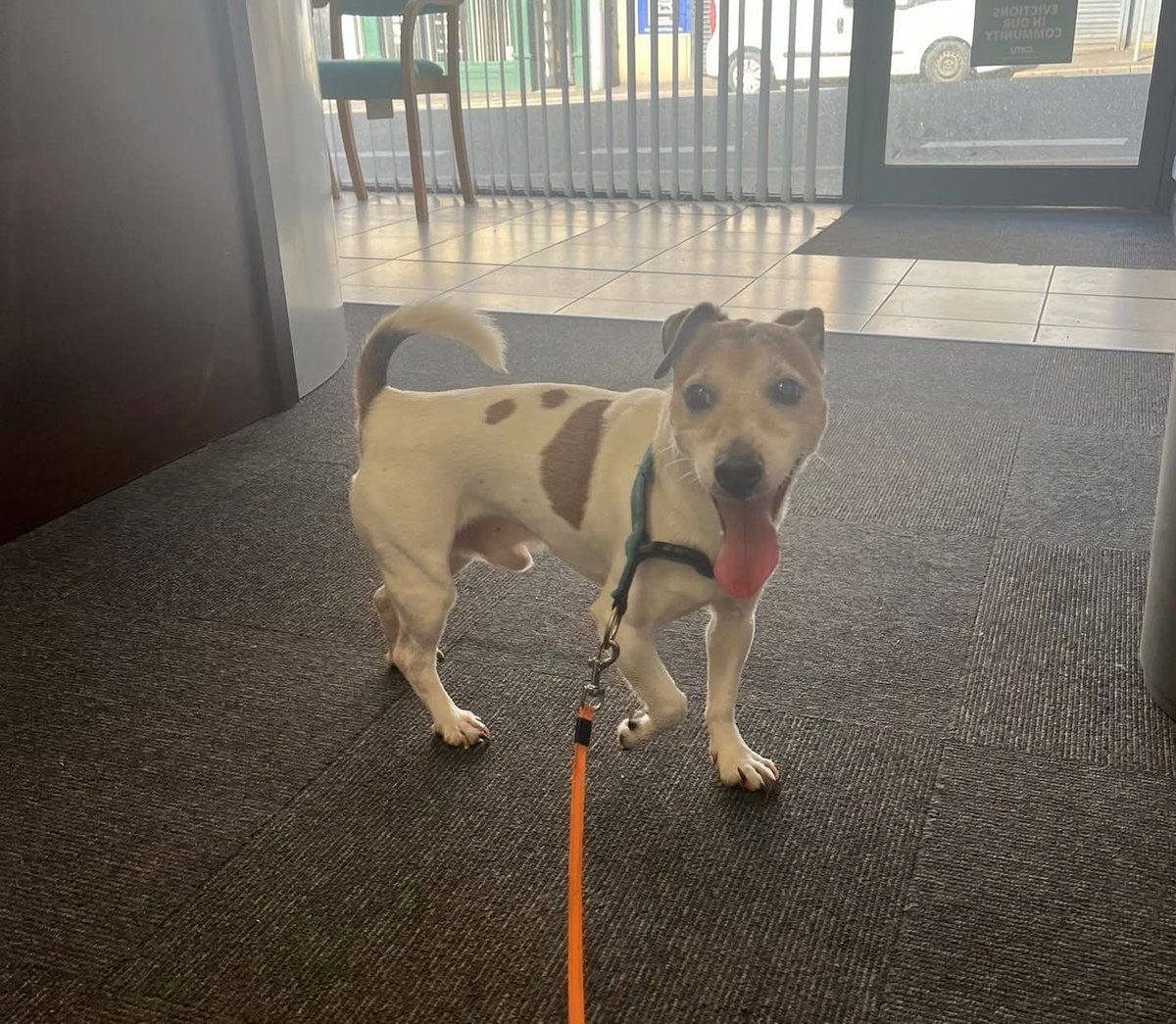 Gerry Carroll tweet media