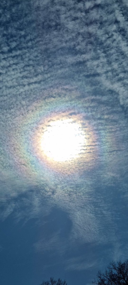 3DDaniel tweet media