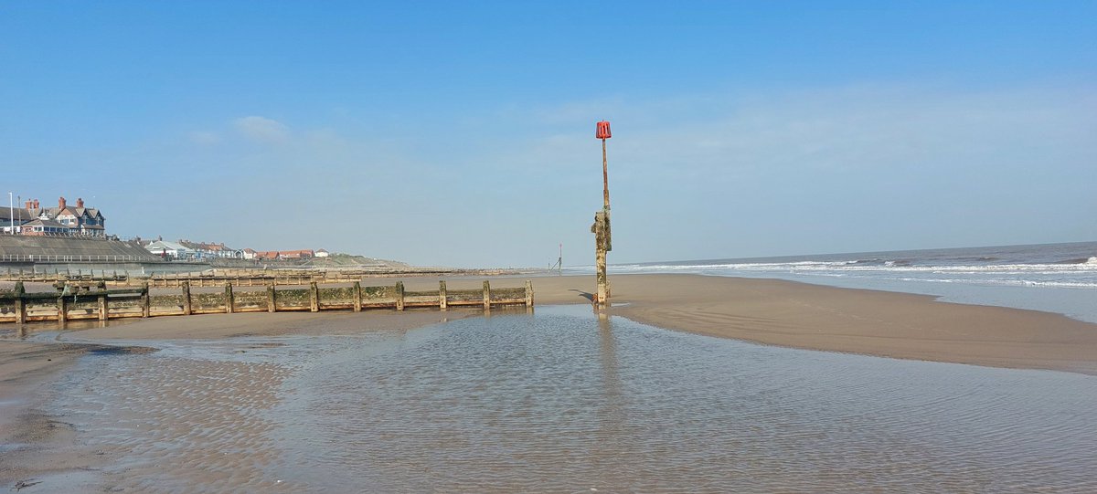 DR SIMON LEE tweet media