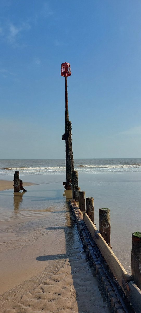 DR SIMON LEE tweet media