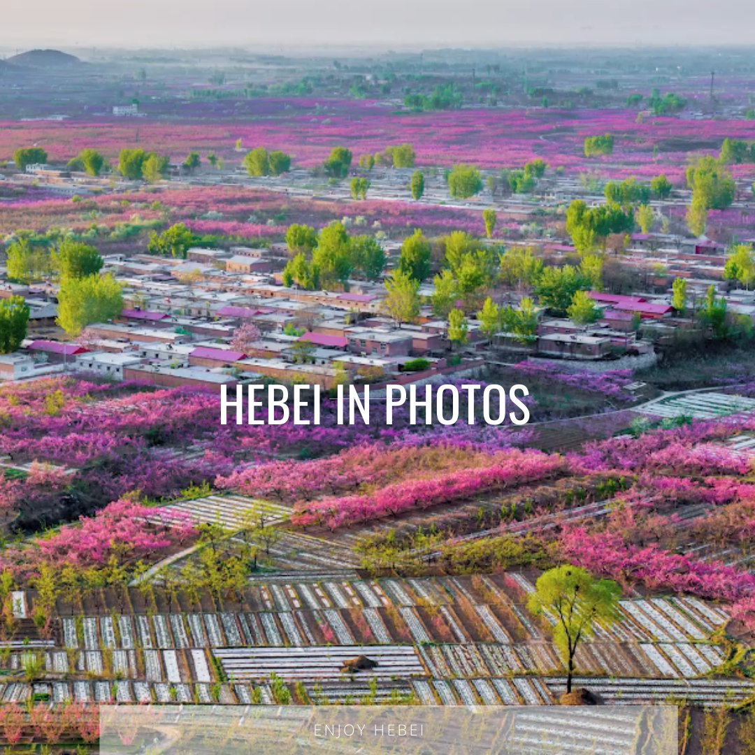 Enjoy Hebei tweet media