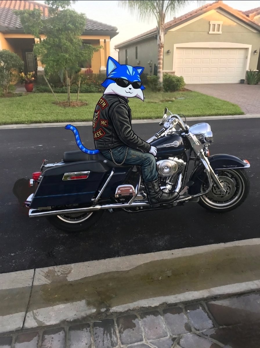 Outside-Buffalo-5119 tweet media