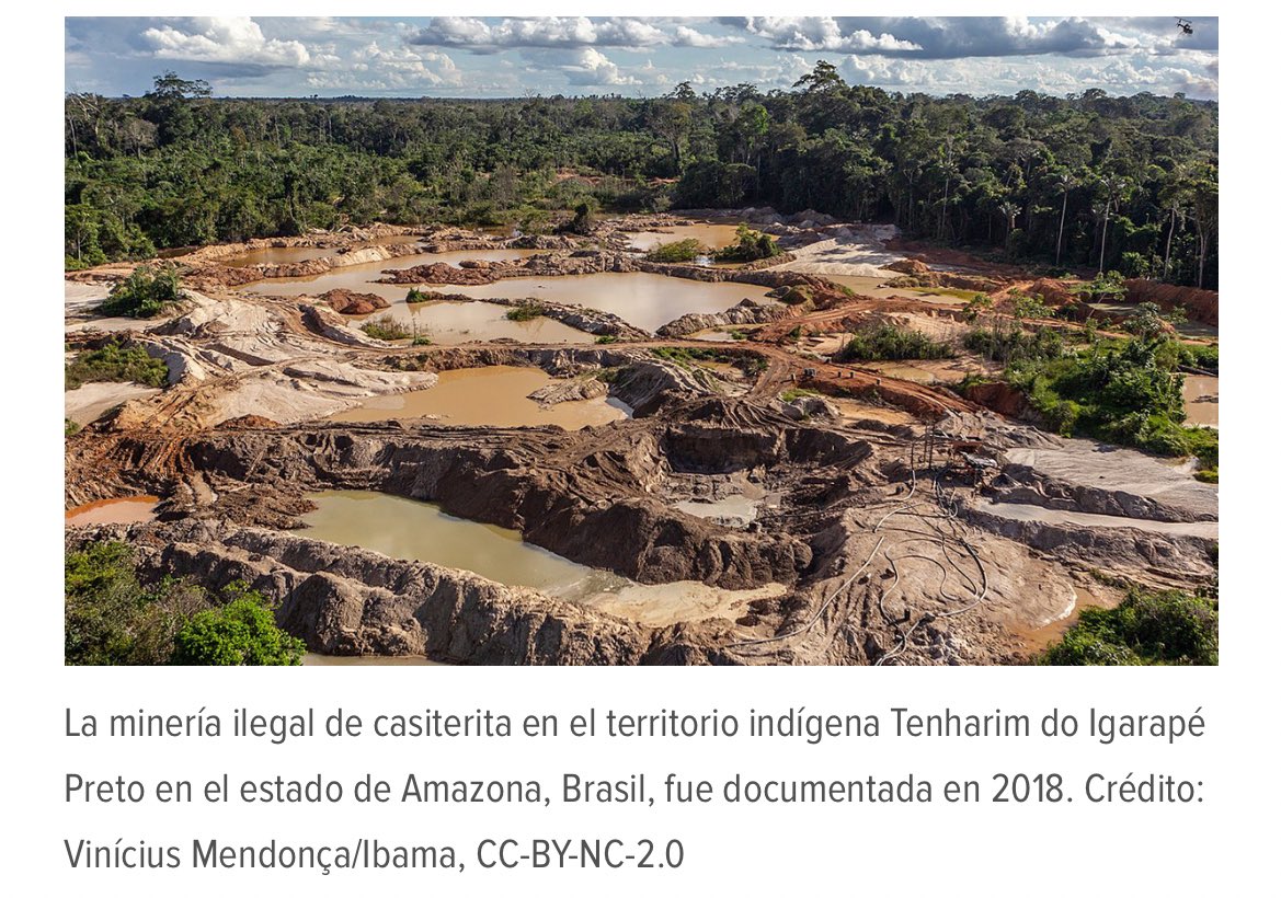 Luis Madriñan, PhD tweet media