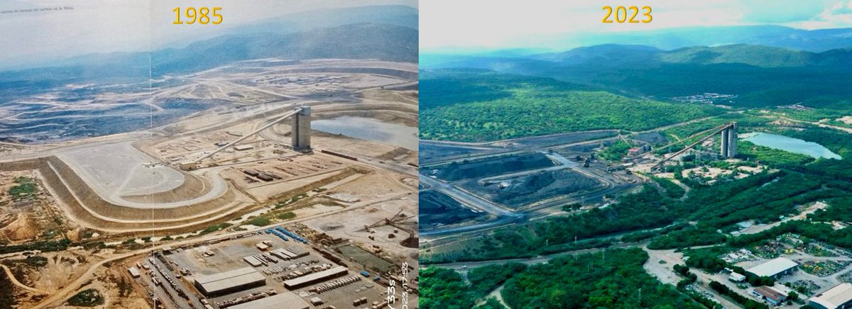 Luis Madriñan, PhD tweet media