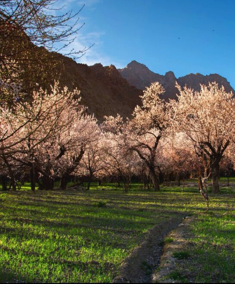 Hidden Chapters.05 tweet media