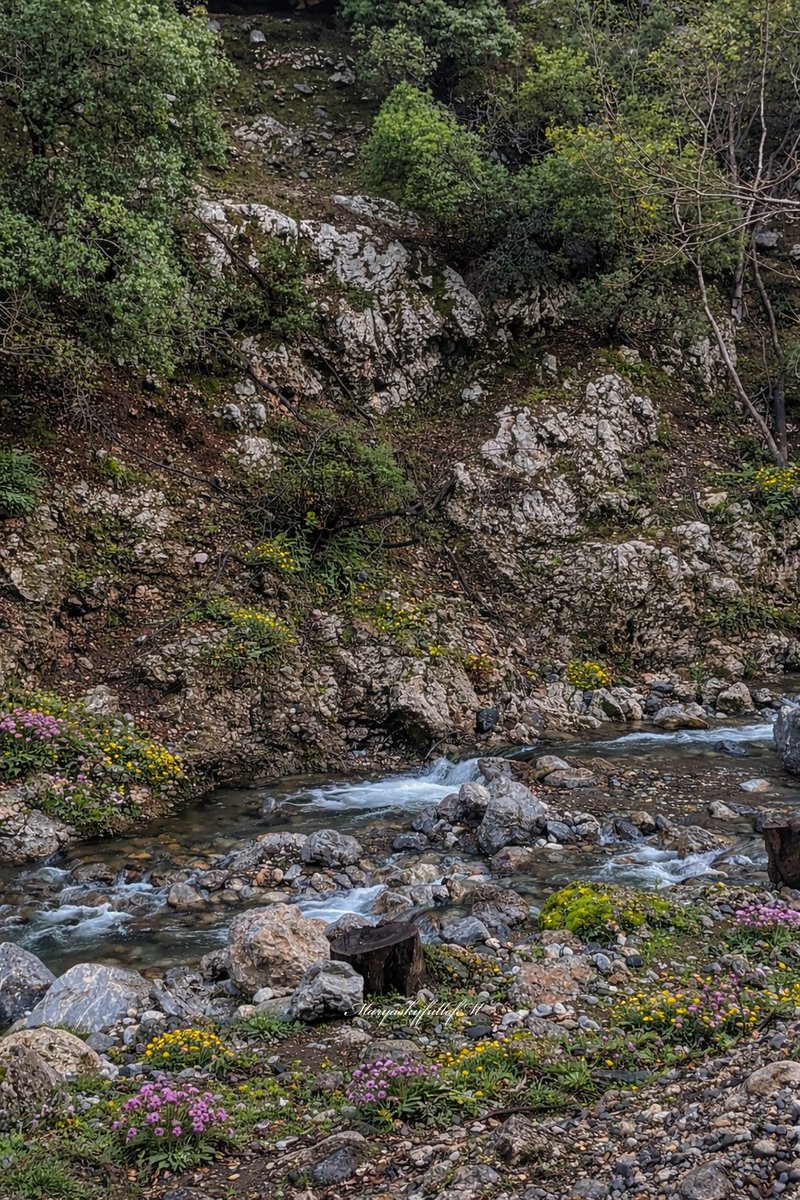 Mary🌻 tweet media