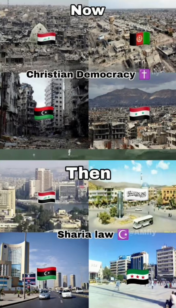 David. 🇵🇸 tweet media