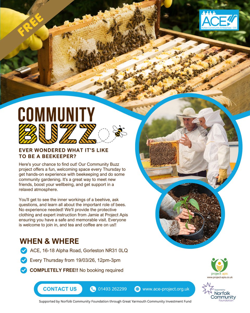 Ace-project tweet media