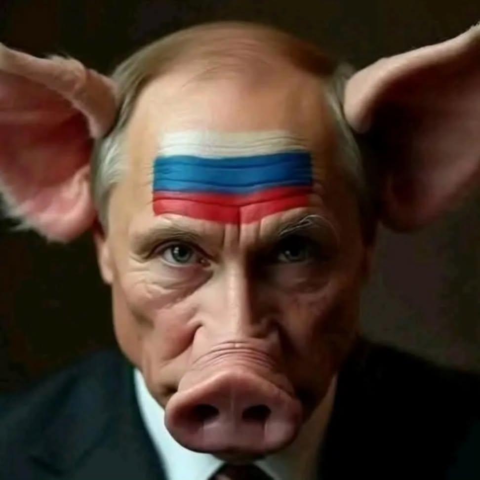 YuriNik🇺🇦 tweet media