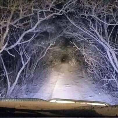 Claudius Velázquez tweet media