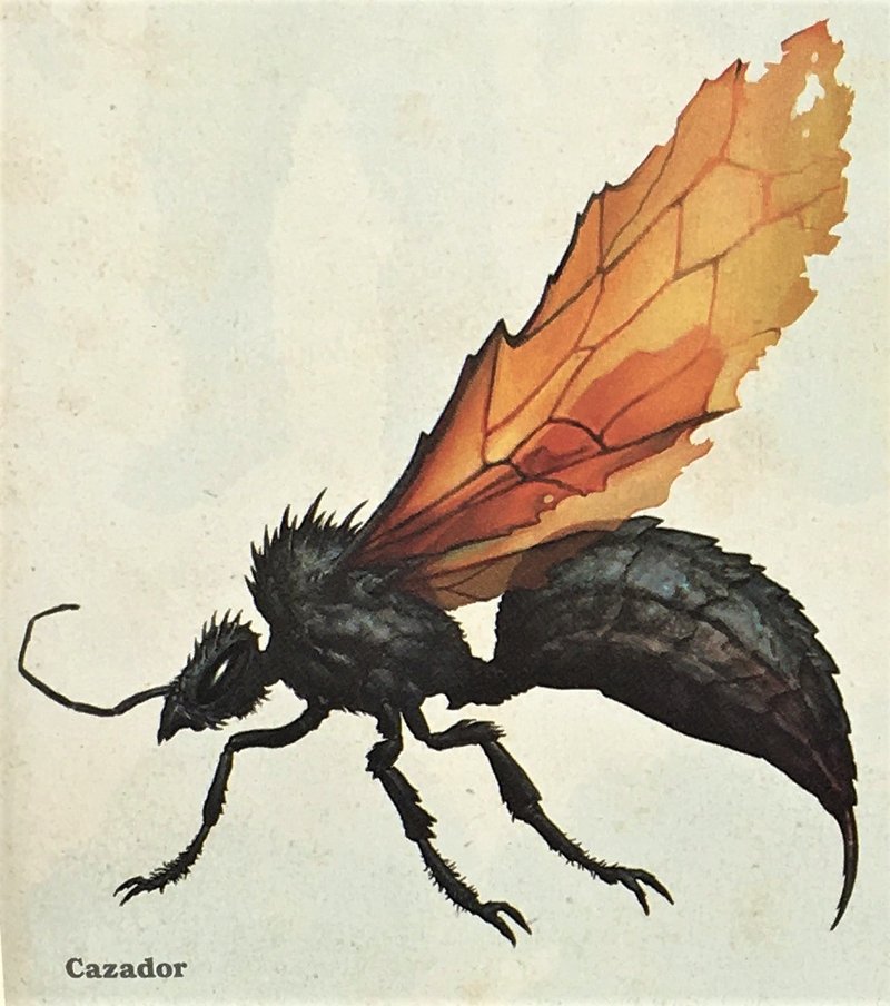 RAZORWIRE tweet media