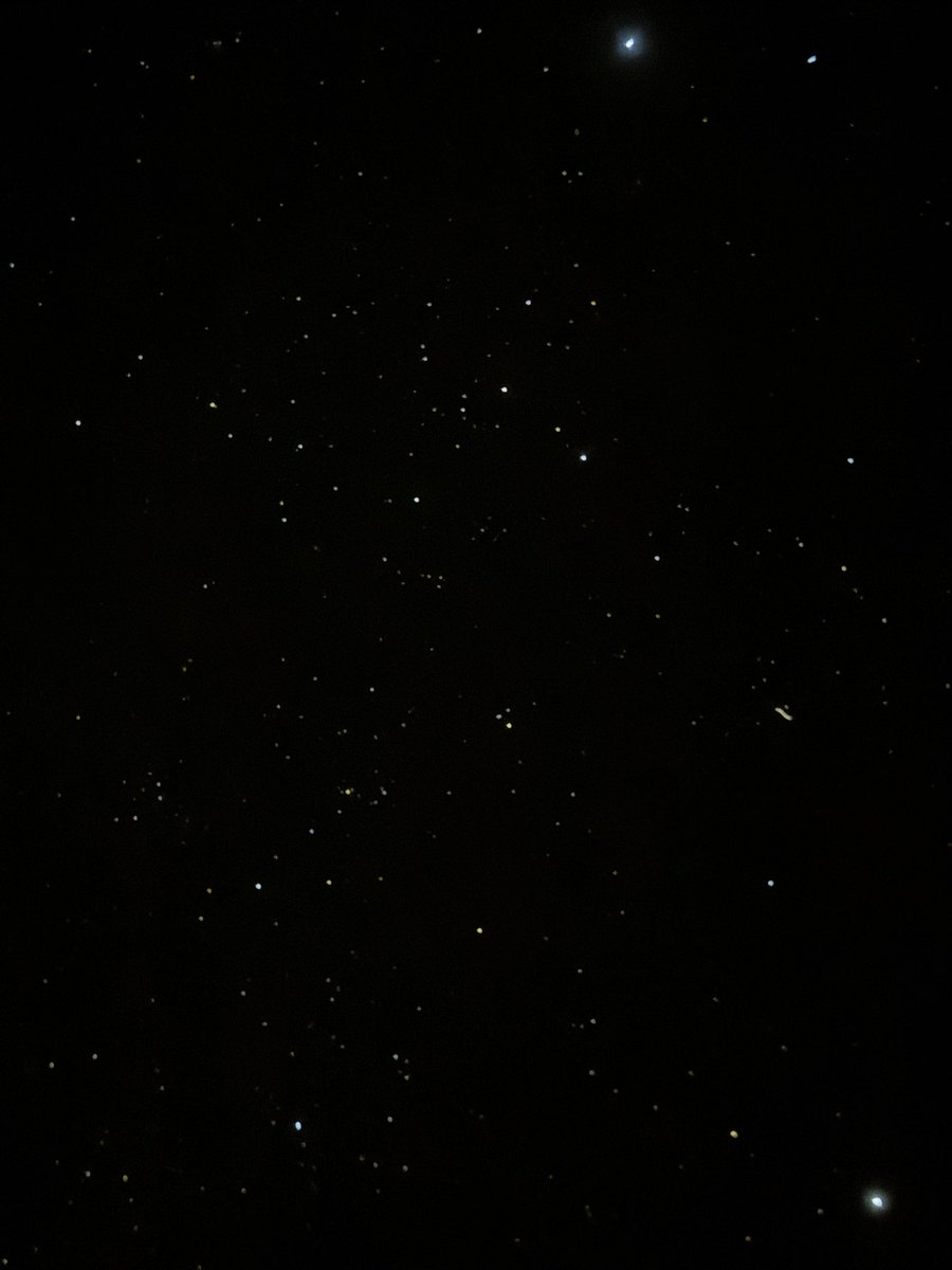 Karina 𝜗ৎ. tweet media