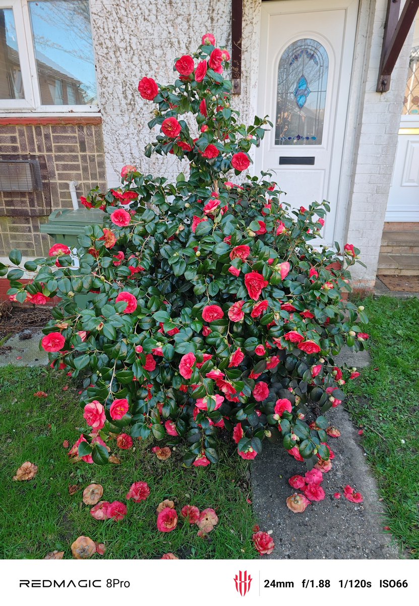 Peter Jeffries tweet media