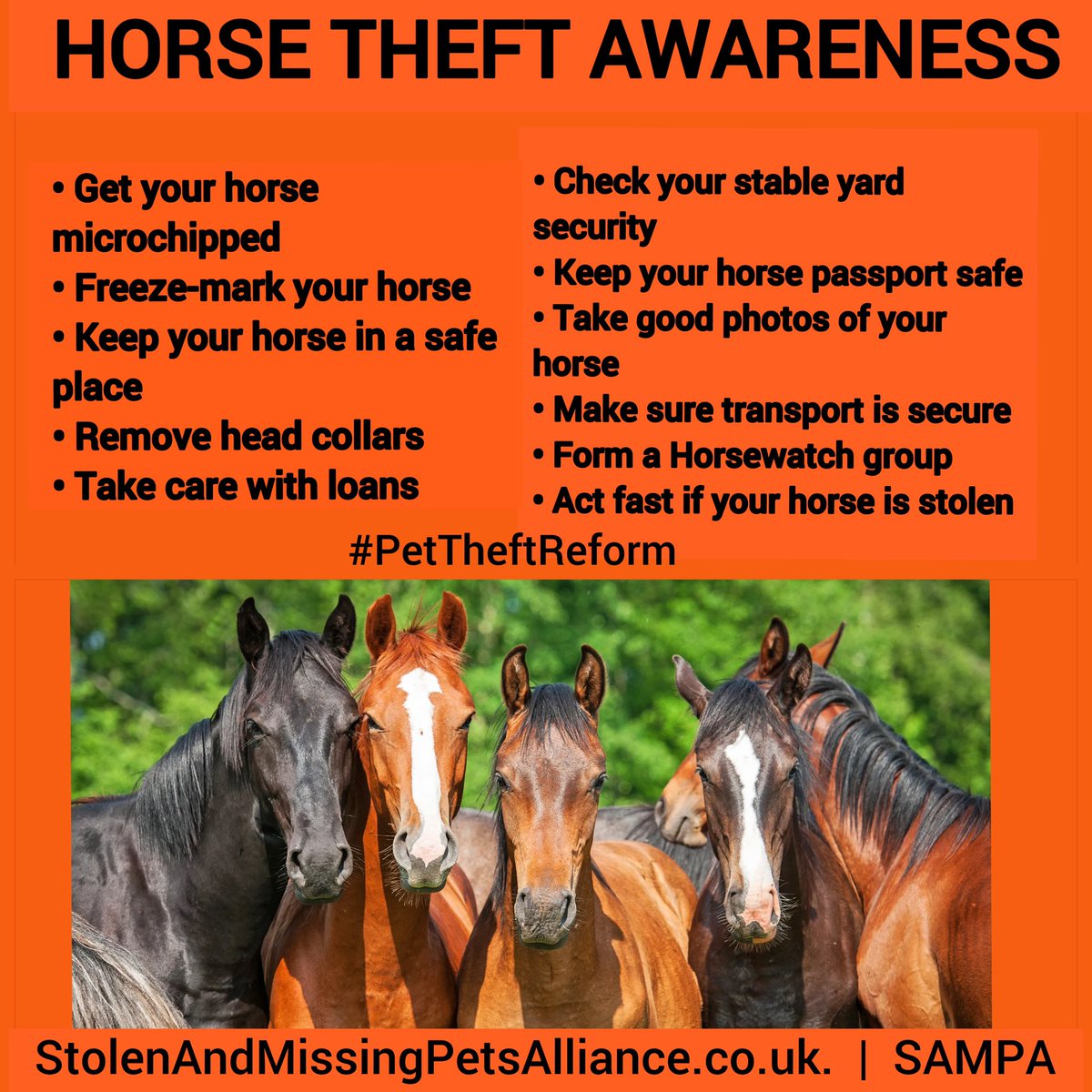 Stolen&Missing Pets tweet media