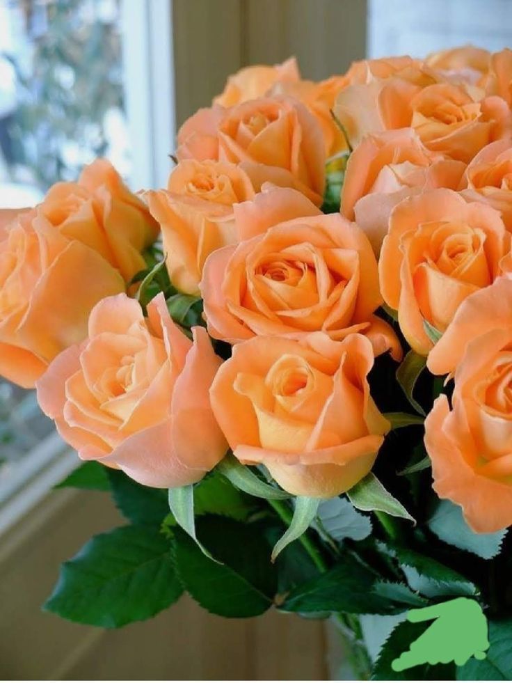 The floral diary tweet media