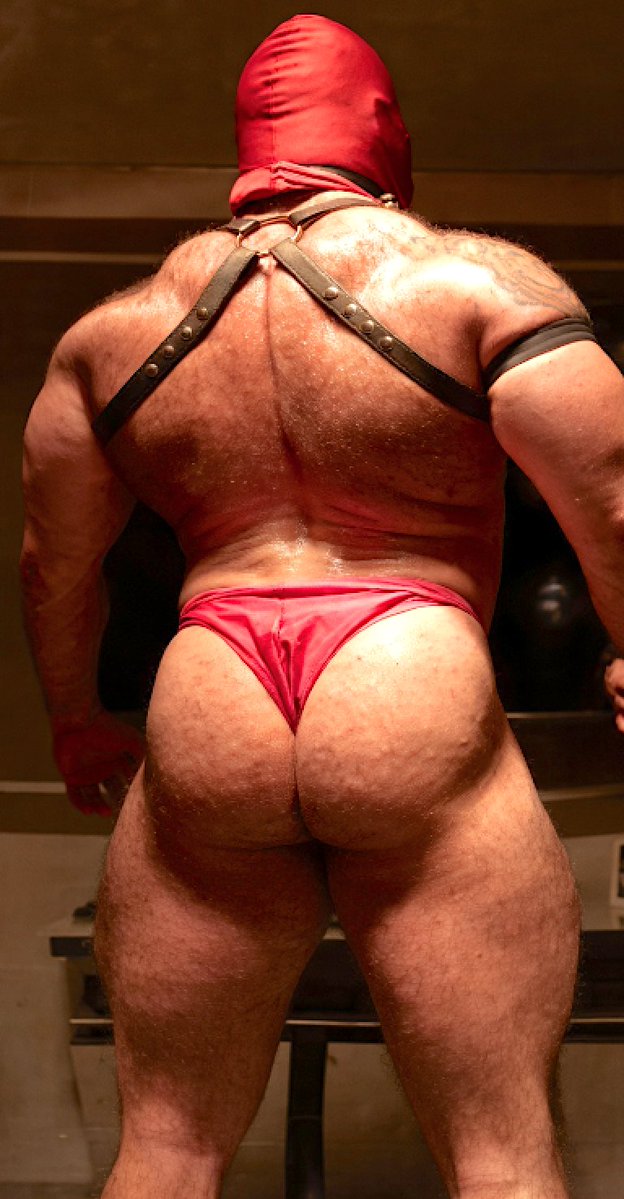 muscle_submission tweet media