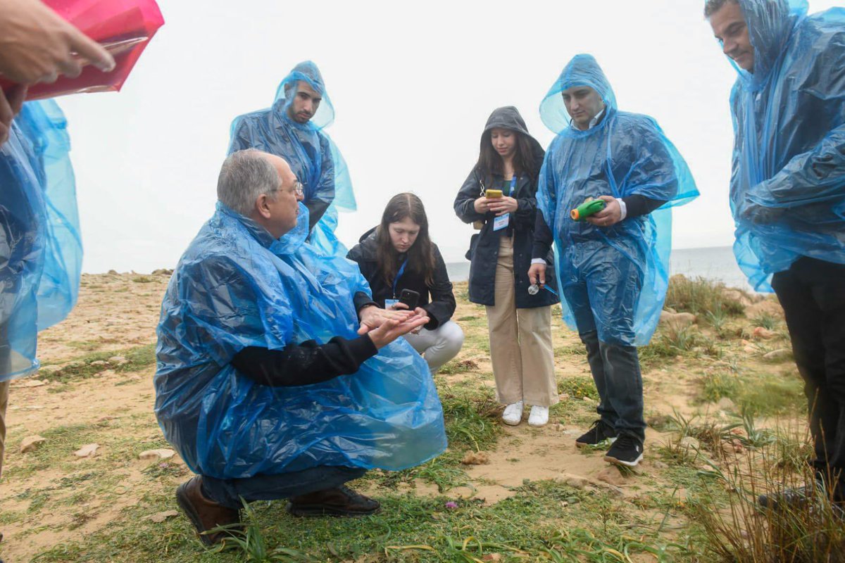 Costas Kadis tweet media