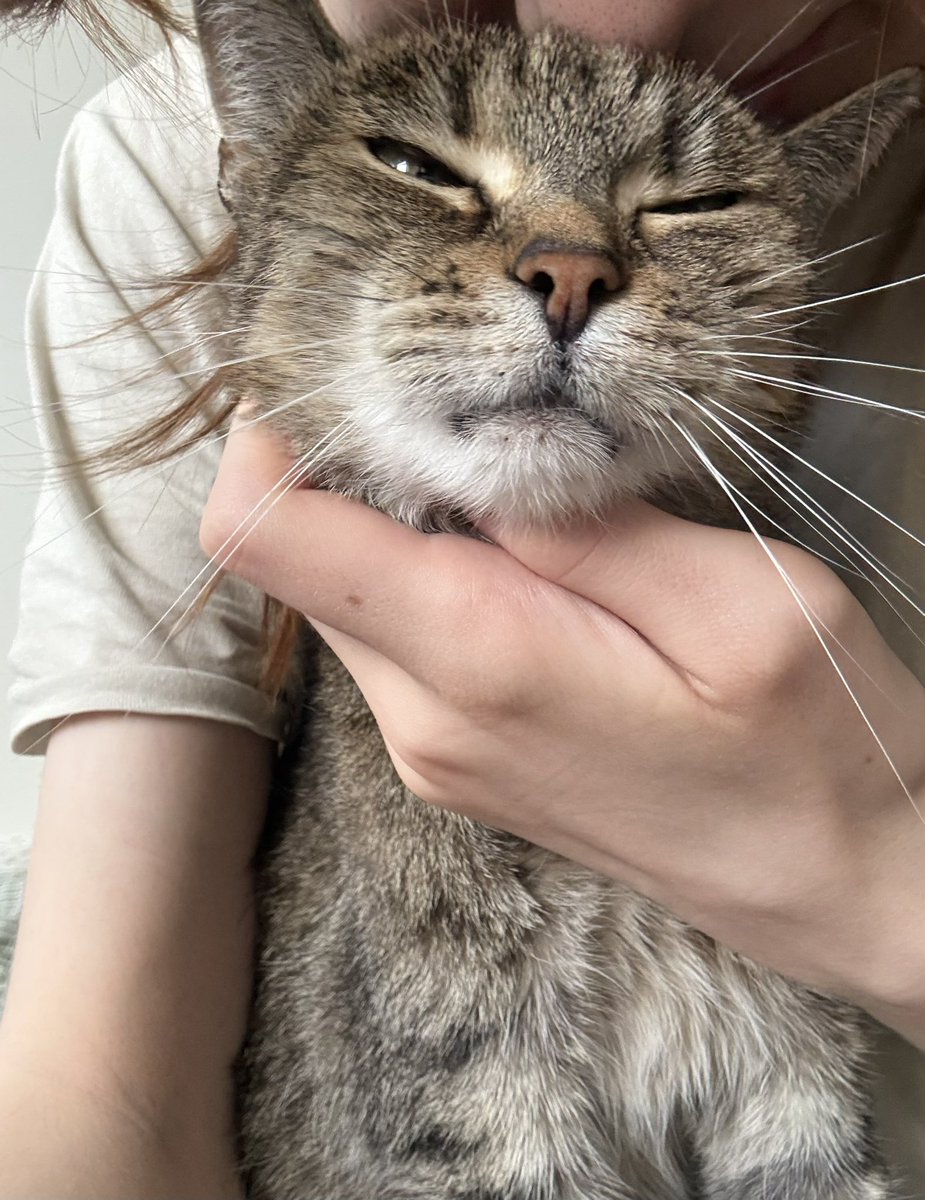 w | 🇵🇸 #freepalestine tweet media