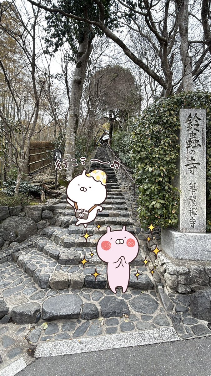 yu__uki1's tweet photo. 今日は久しぶりに鈴虫寺へ
家出る時暖かいと思って上着置いて来たら寒かった💦けど周囲は少しずつ春の雰囲気🌸
御朱印も春バージョン☺️季節によって違うのもいいなー☺️いい気分転換になったな😊 https://t.co/iN5ude3RCP