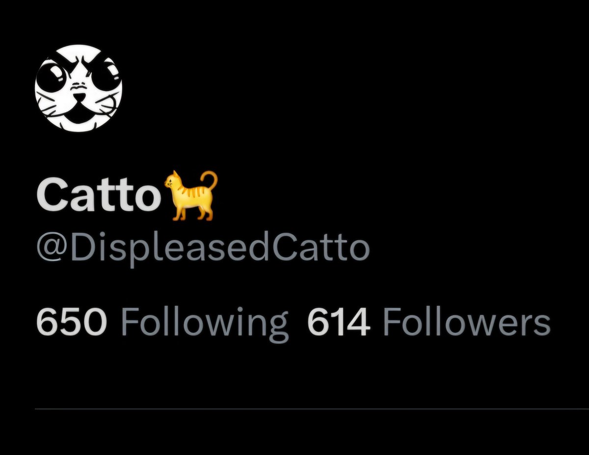Catto🐈 tweet media