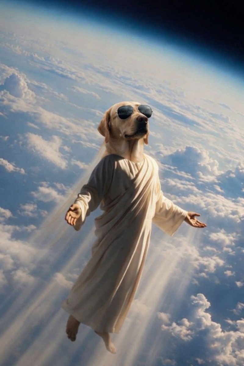 luffy II📈 tweet media