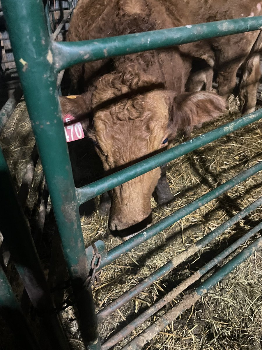 ~605~ ShittalkerFFS tweet media