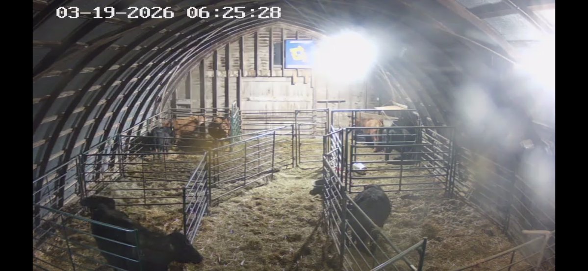 ~605~ ShittalkerFFS tweet media