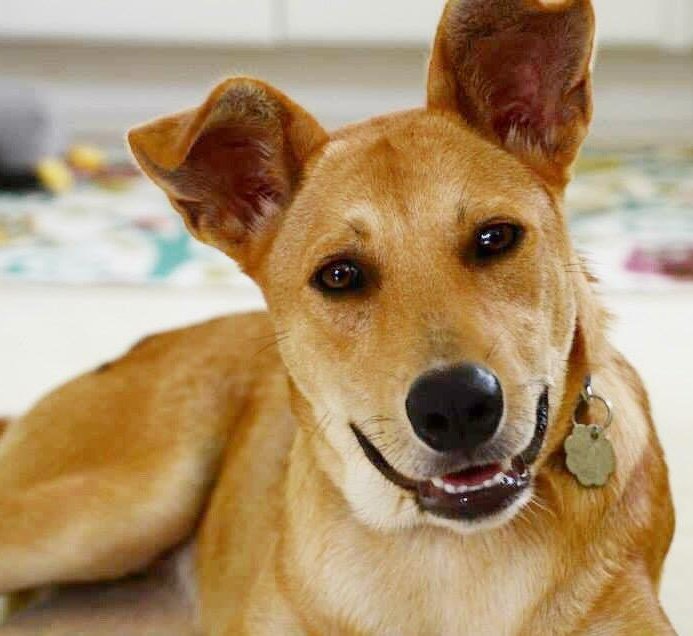 Mary 🕊️ tweet media