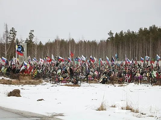 Вестник бури / Буревестник tweet media