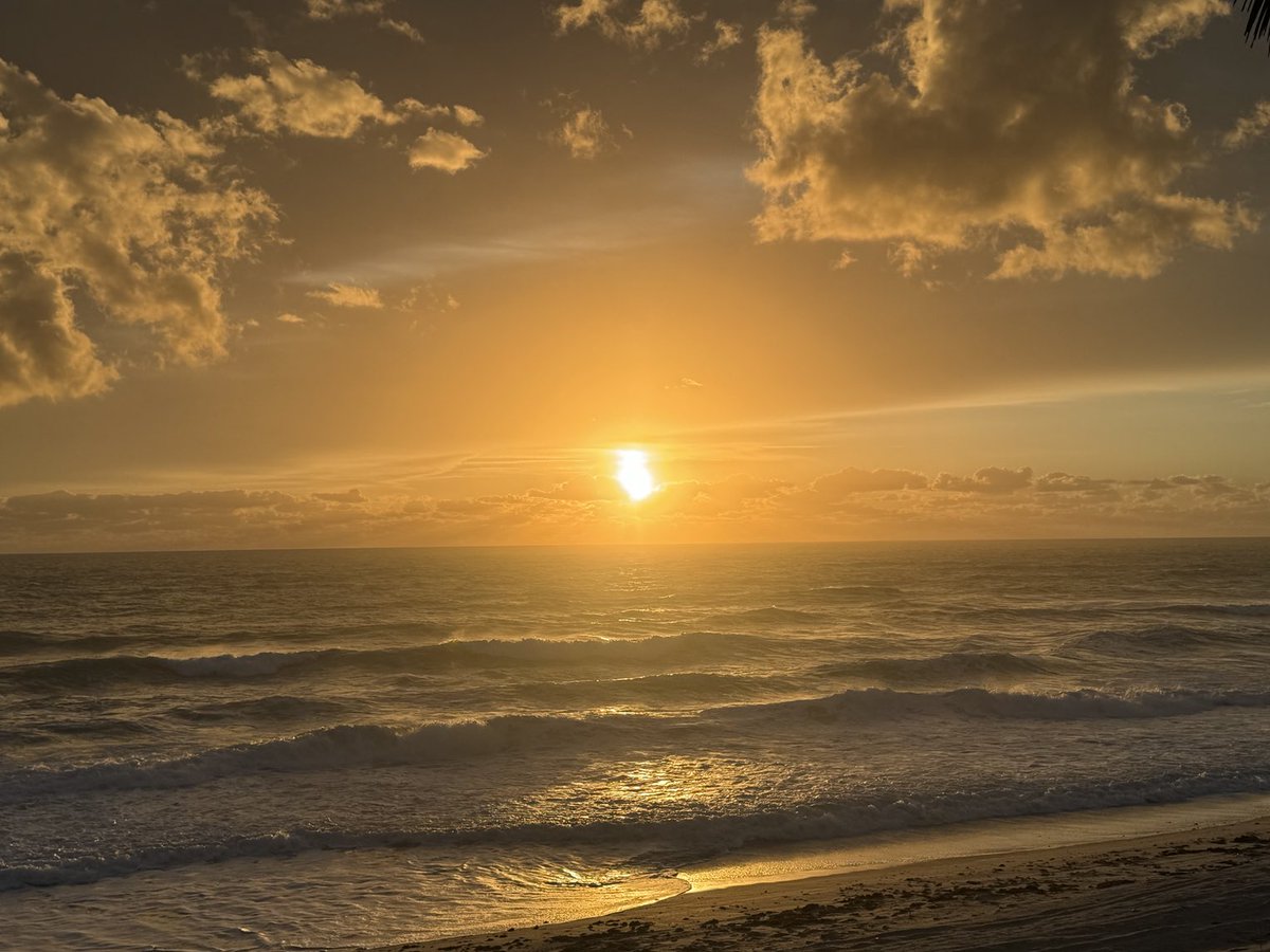 Lauri Wirichs tweet media