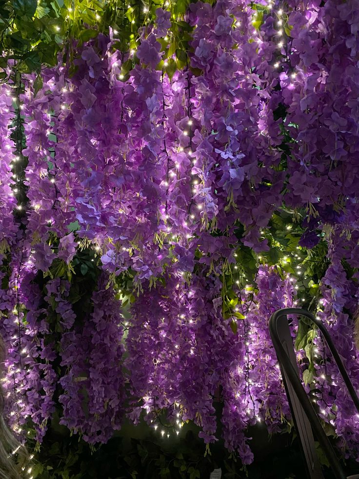 ๐บ๐๐๐๐๐๐ tweet media