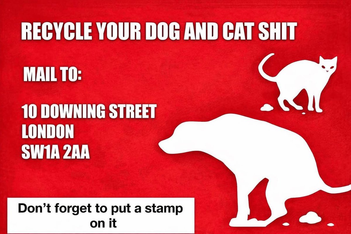 Charlotte Milne tweet media