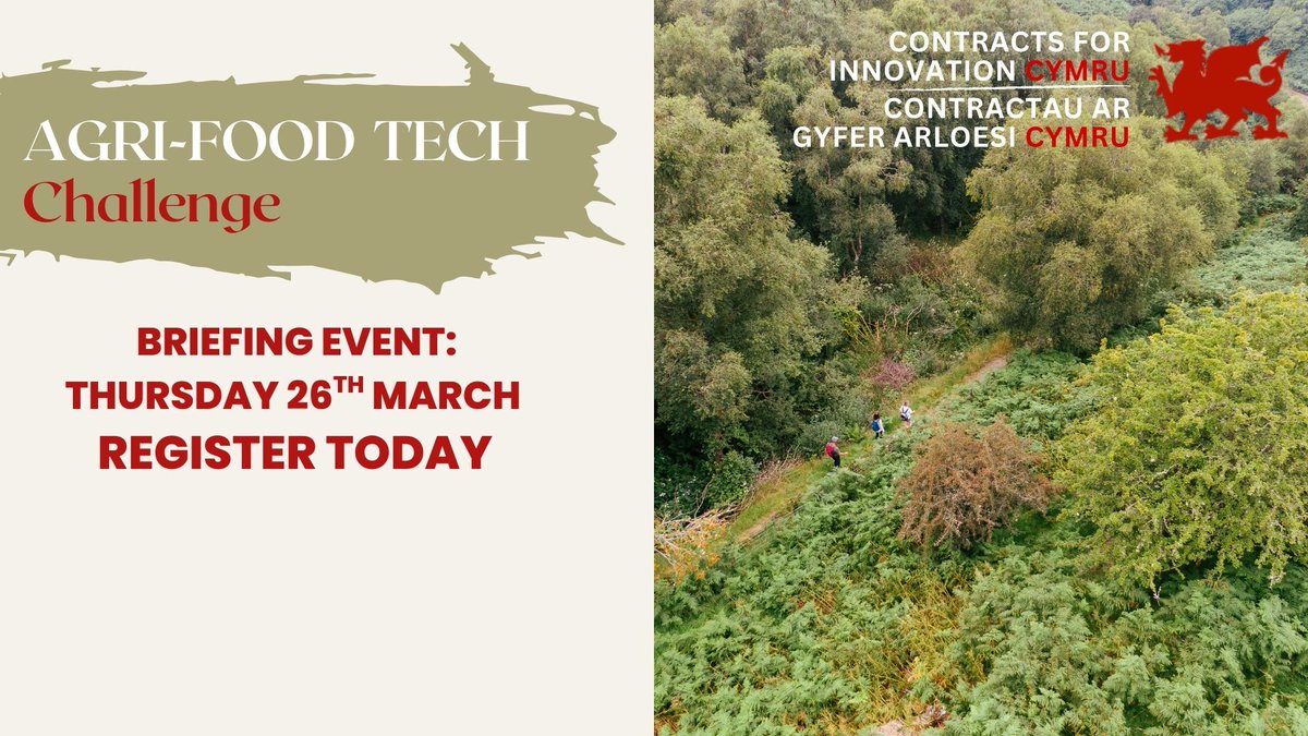 Contracts For Innovation Cymru tweet media