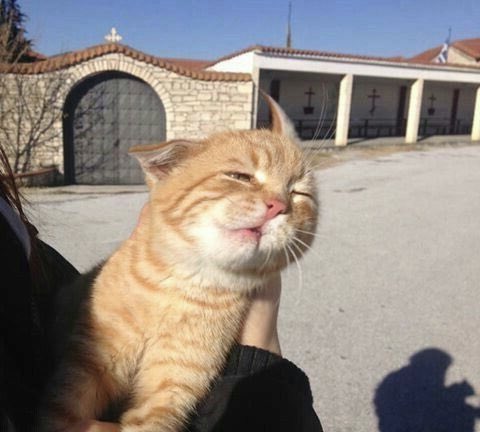 น้องอุ้ส tweet media