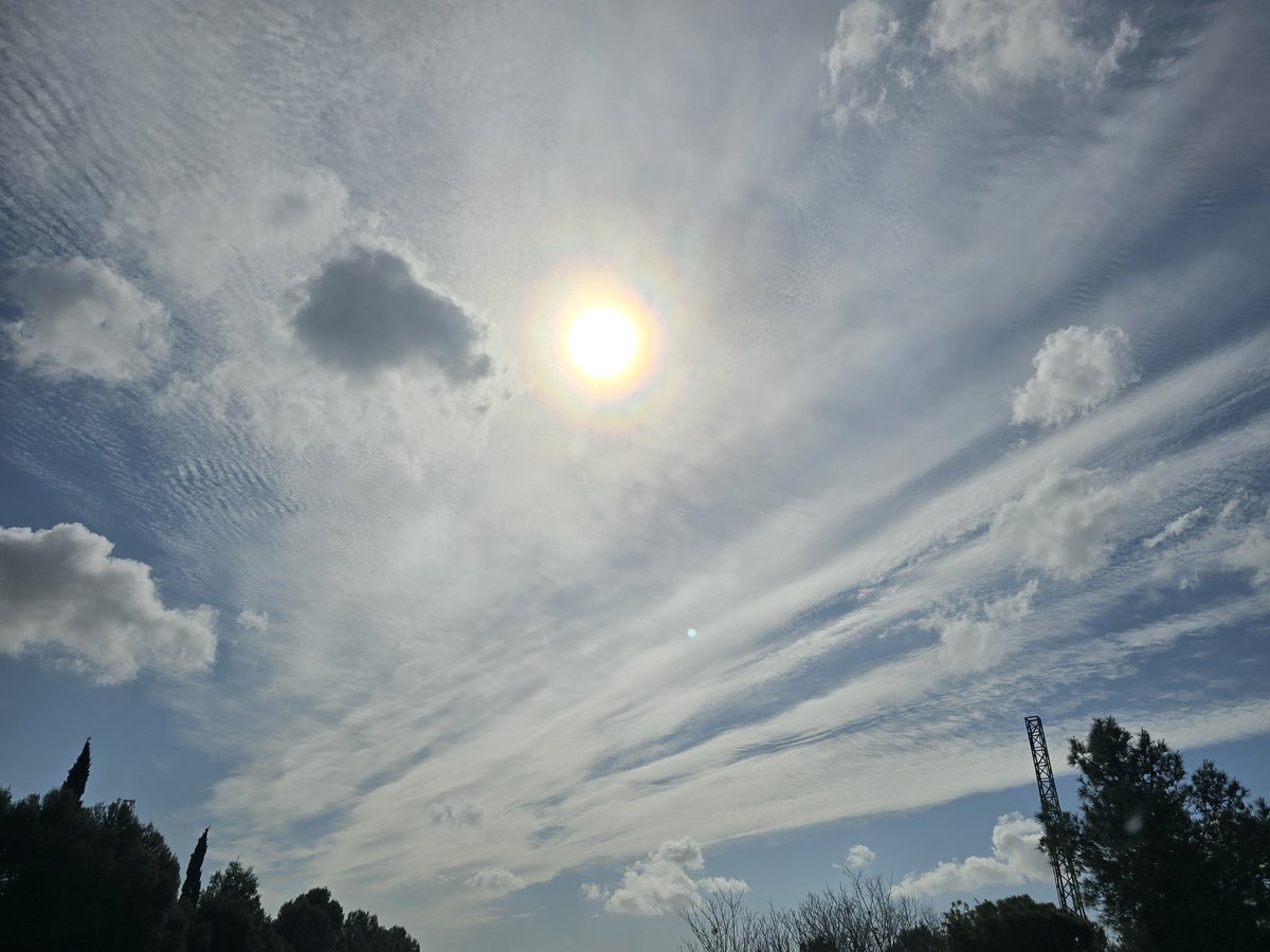 M.Isabel tweet media