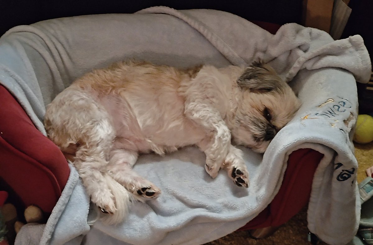 *KellyWA* tweet media