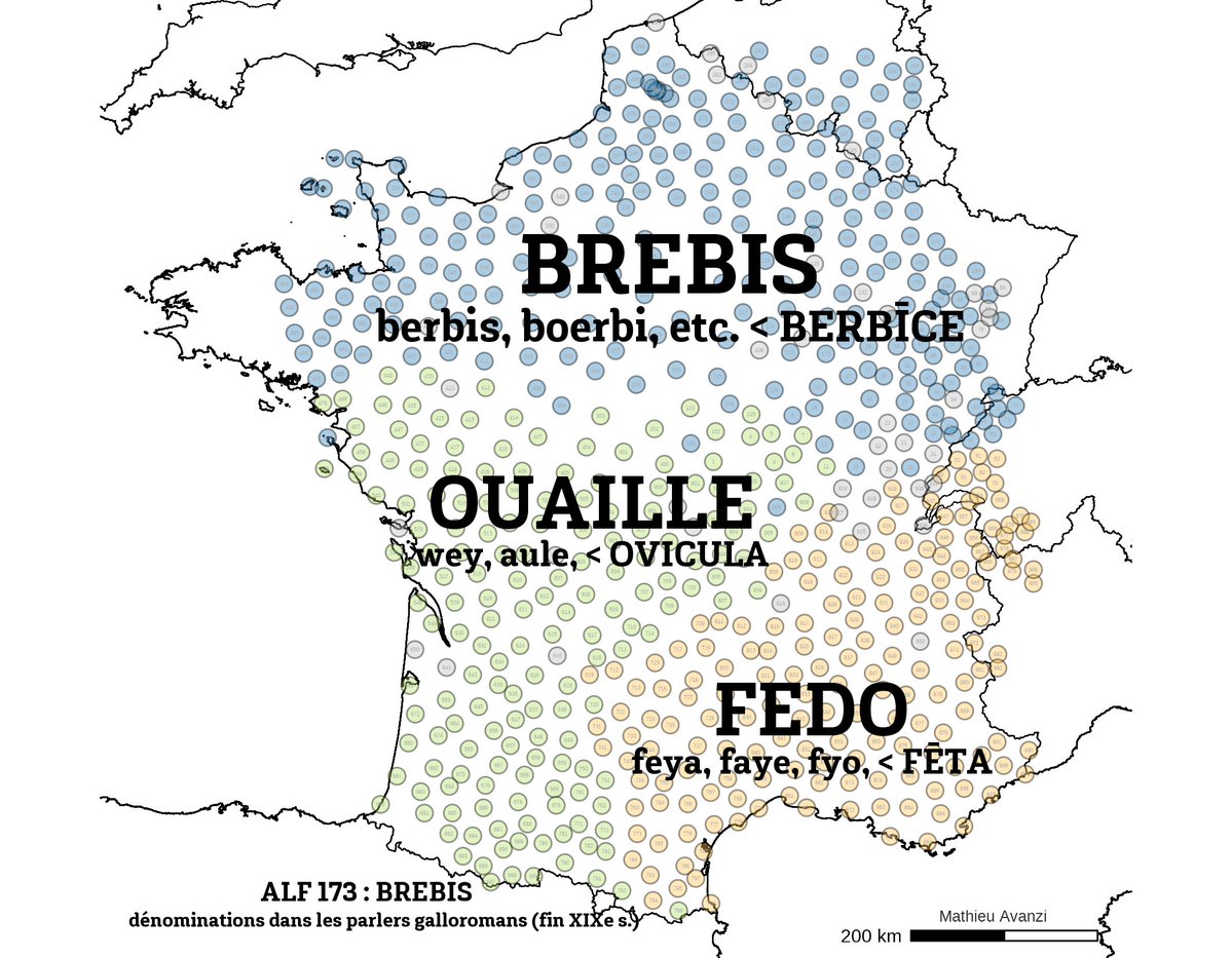 Mathieu Avanzi tweet media