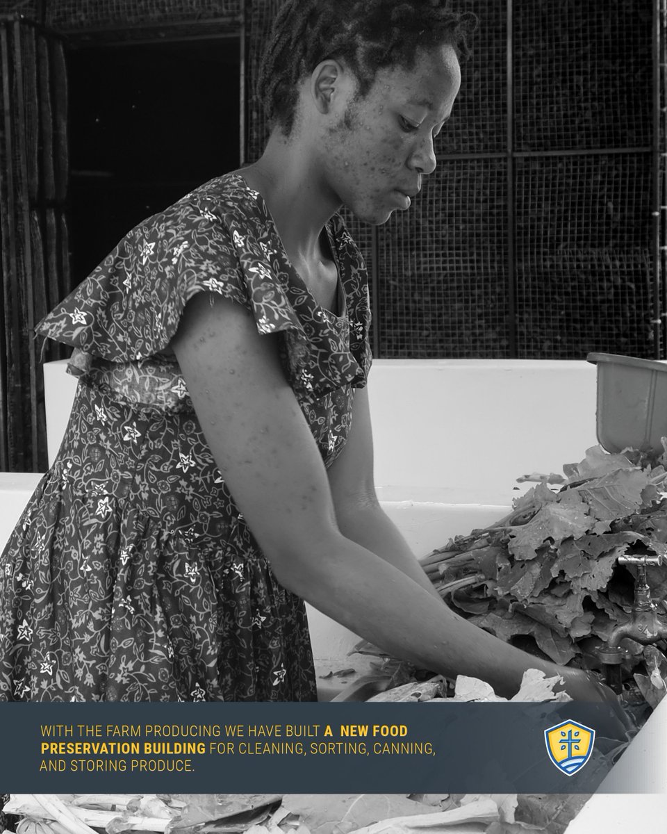 Kuwala School tweet media