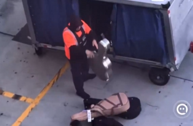 Von 🛑🇵🇷 tweet media