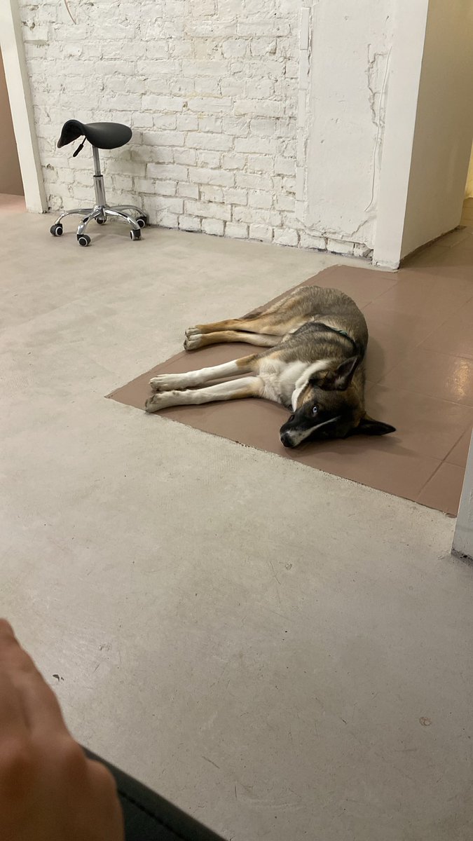 Oleksandra Sakharuk tweet media