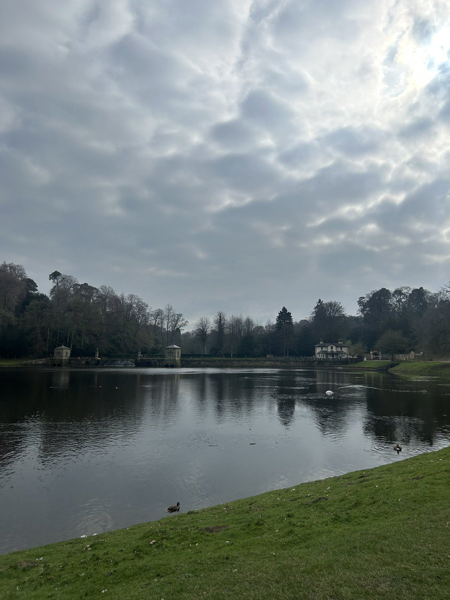 - (@sofiajhasan) on Twitter photo 