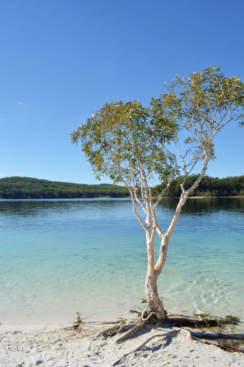 Stephanie Presdee tweet media