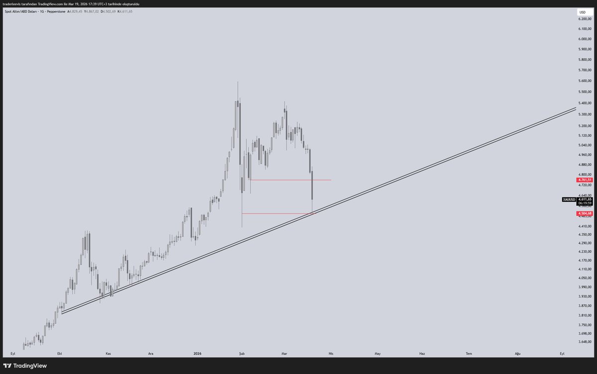Le²vis 💱 tweet media