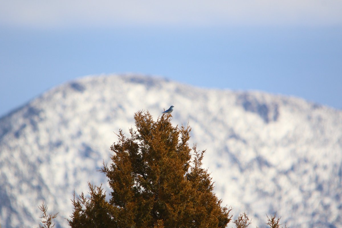 D. Scott tweet media