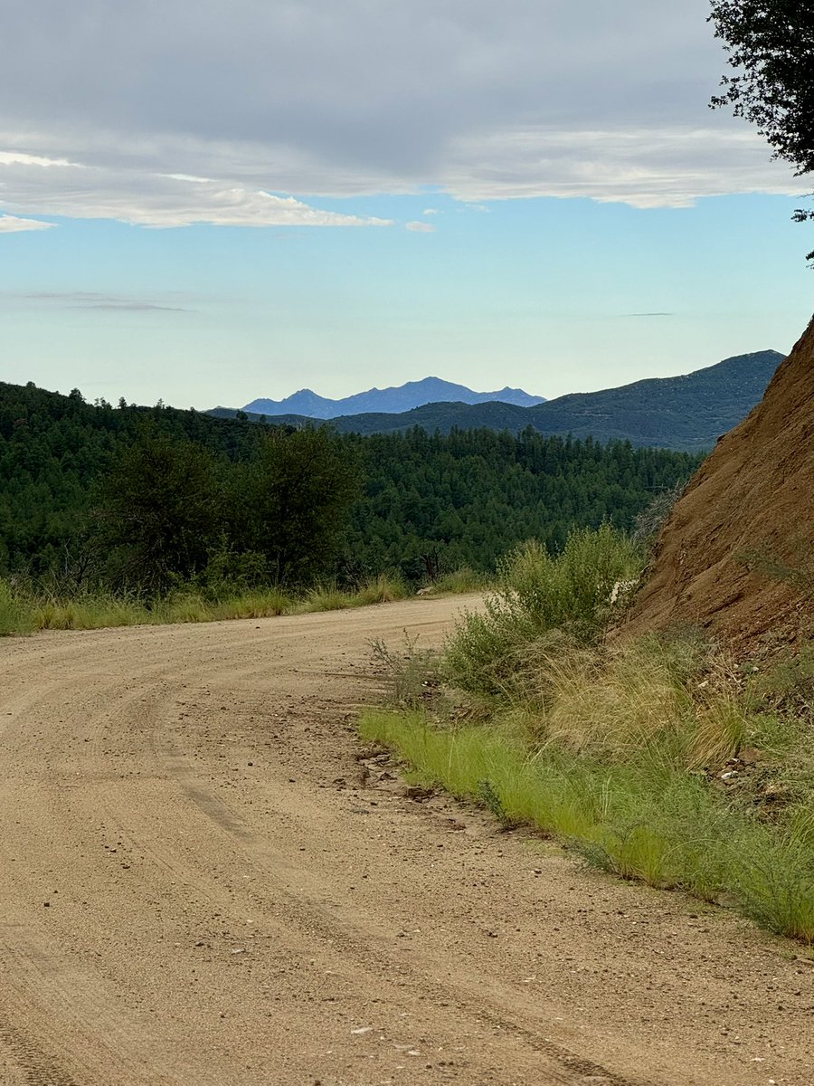 GritsAndGrace tweet media