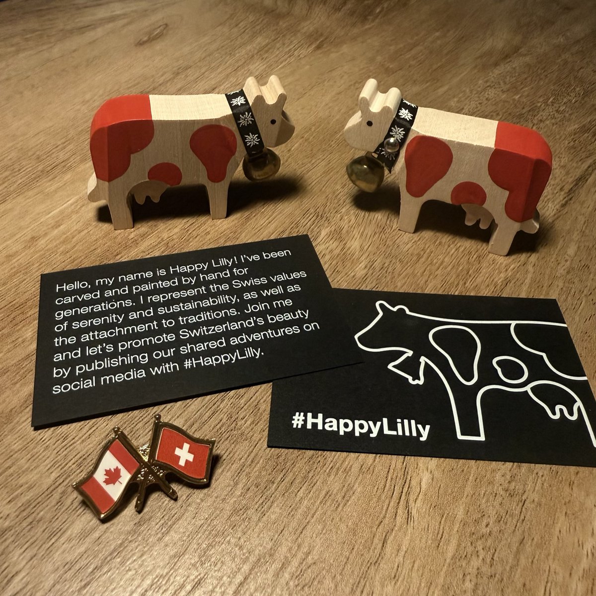 Kristina Tesser Derksen tweet media