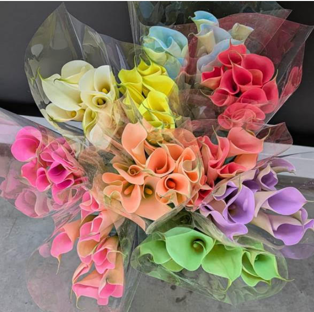 Rick Canale tweet media