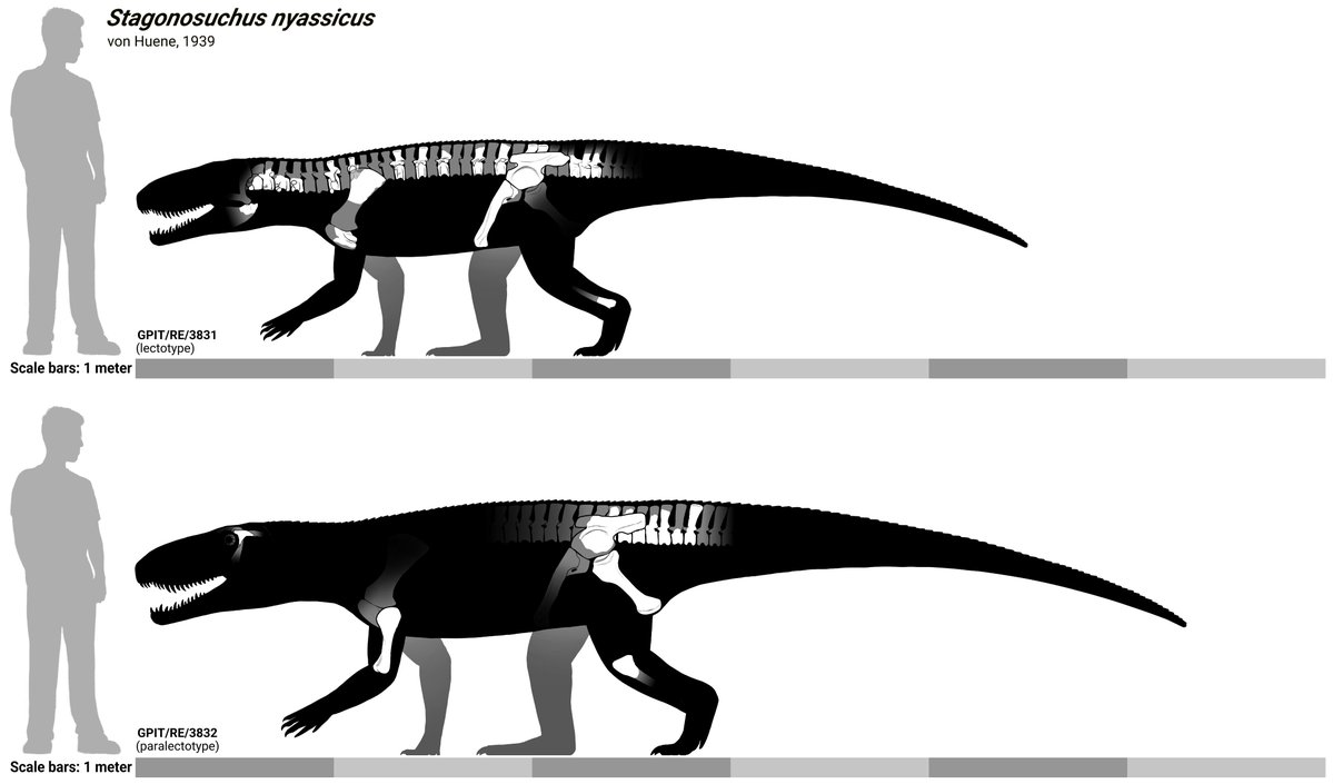 Literally Miguel 🇻🇪💥🔫 tweet media